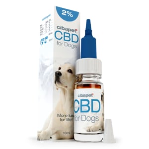 une bouteille de CBD pour chiens à côté d'une boîte de gouttes de CBD.