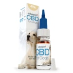 une bouteille de cbd pour chiens à côté d'une boîte.