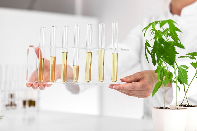 Produits de cannabidiol fiables de haute qualité