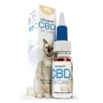 une bouteille de cbd pour les chats assis à côté d'une boîte.