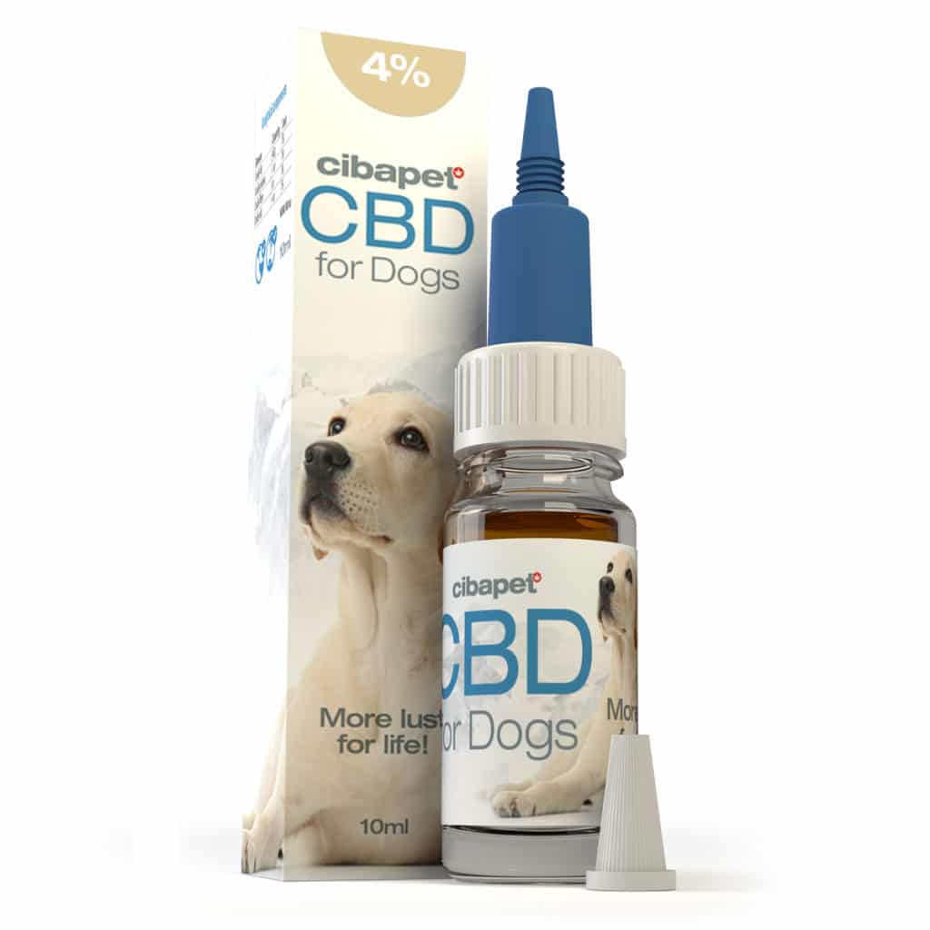 une bouteille de cbd pour chiens à côté d'une boîte.